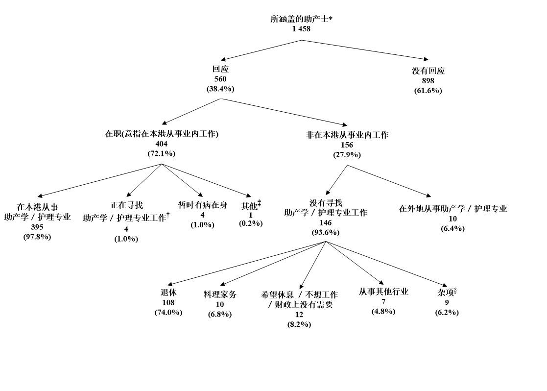 所涵盖助产士的经济活动身分